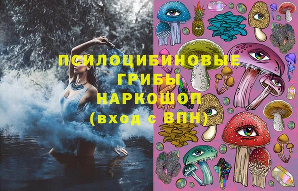 ПСИЛОЦИБИНОВЫЕ ГРИБЫ Богородск