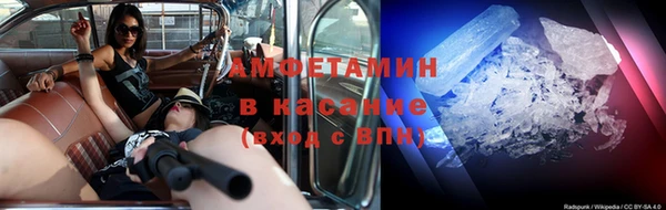 метадон Богданович