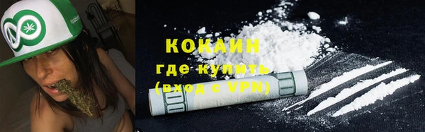 метадон Богданович