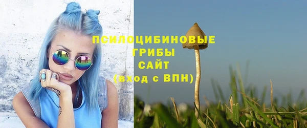 ПСИЛОЦИБИНОВЫЕ ГРИБЫ Богородск
