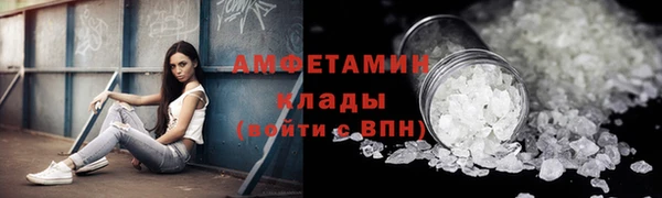 метадон Богданович