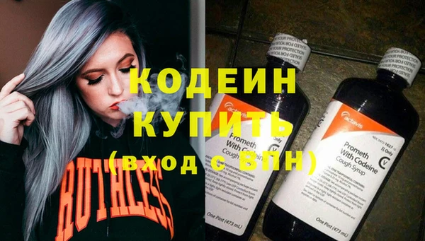метадон Богданович
