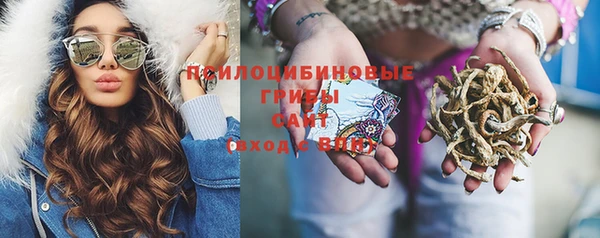 ПСИЛОЦИБИНОВЫЕ ГРИБЫ Богородск