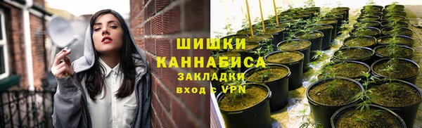 хмурый Богородицк