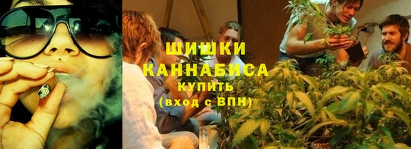 метадон Богданович