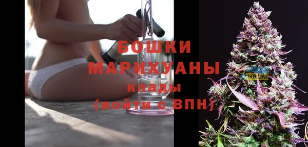 метадон Богданович