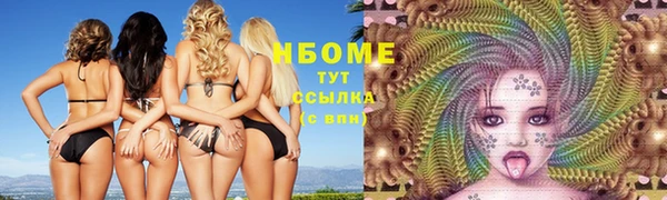 метадон Богданович