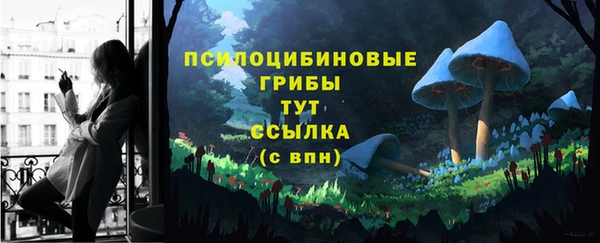 хмурый Богородицк