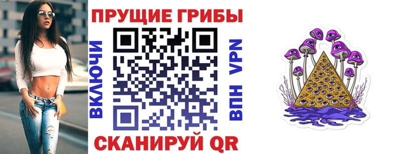 Купить закладки  Суджа  Псилоцибиновые грибы ЛСД 